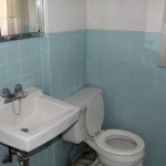 211 Indian Rd Cres orig cond 2010 _bath2